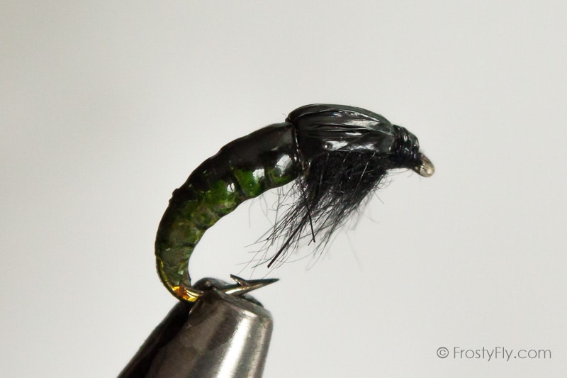 Realistic Hydropsyche Larva, Weighted