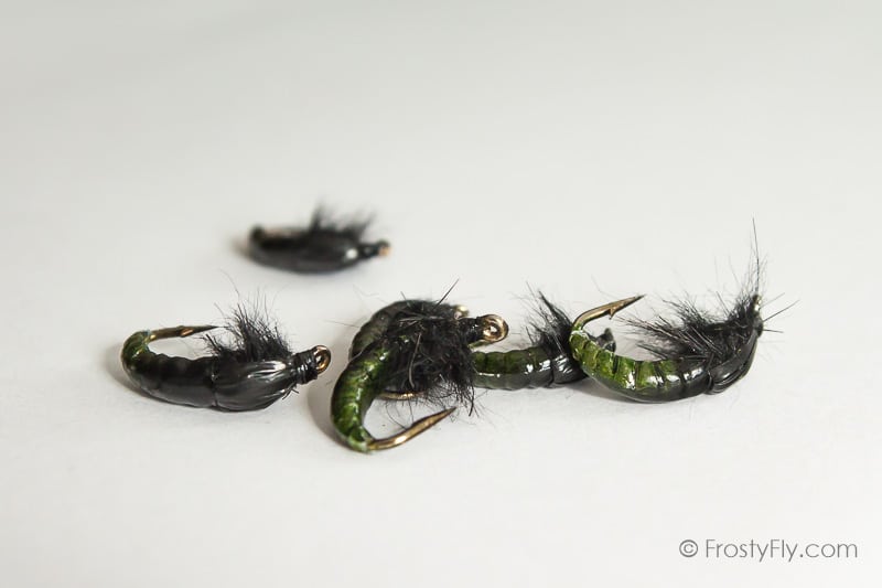 Realistic Hydropsyche Larva, Weighted