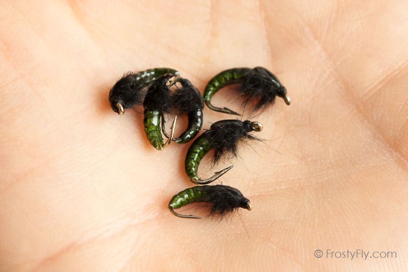 Realistic Hydropsyche Larva, Weighted