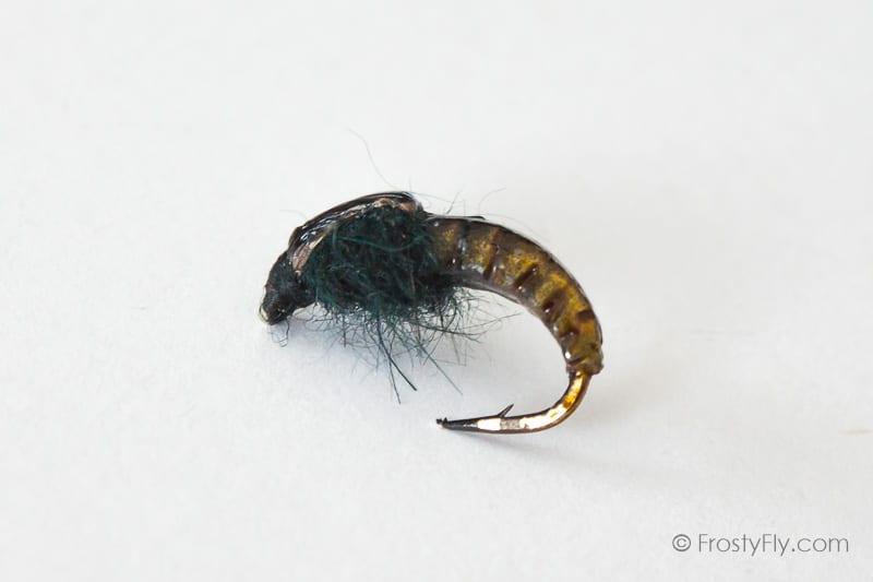 Realistic Hydropsyche Larva, Weighted