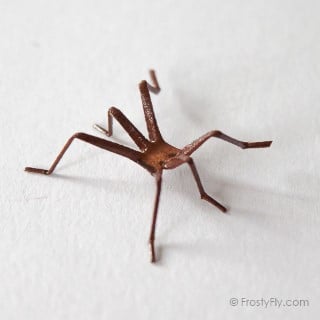 Realistic Insect Legs 3D