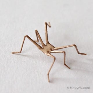 Realistic Insect Legs 3D