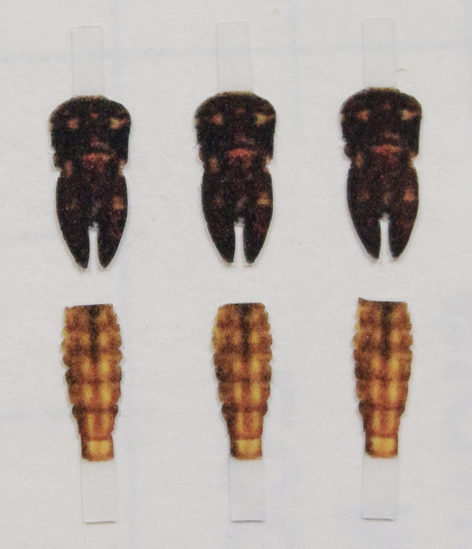 Realistic Mayfly Nymph Buds & Back