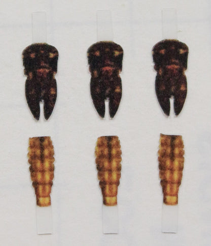 Realistic Mayfly Nymph Buds & Back