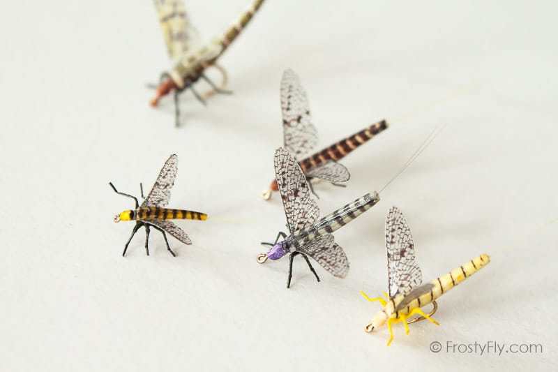 Realistic Mayflies II