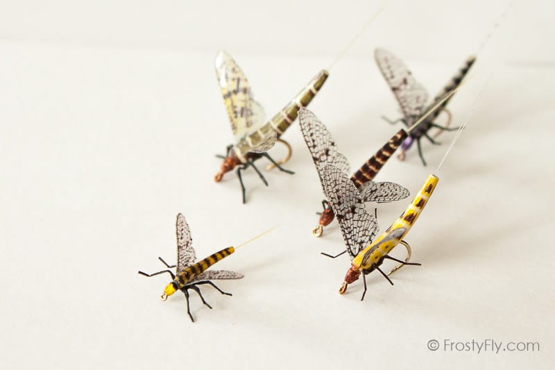 Realistic Mayflies II