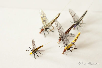 Realistic Mayflies II