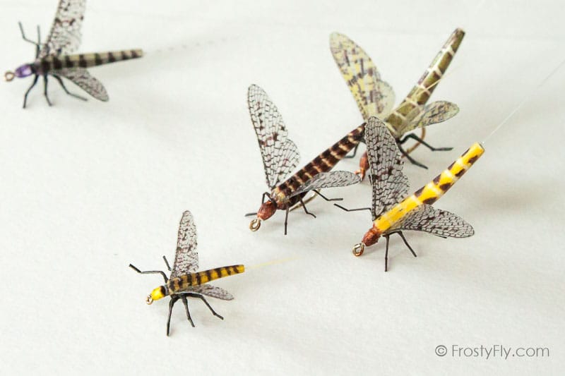 Realistic Mayflies II