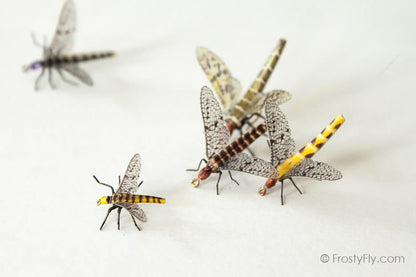 Realistic Mayflies II