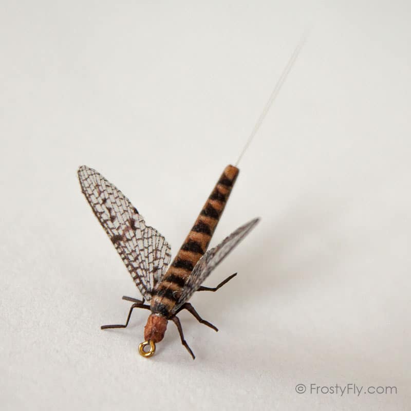 Realistic Mayfly Dry II