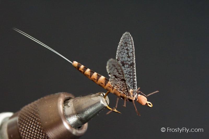 Realistic Mayfly Dry - Brown Drake