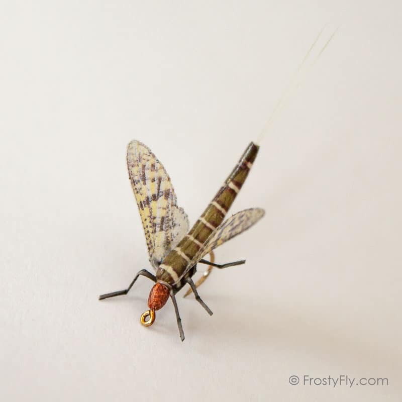 Realistic Mayfly Dry II