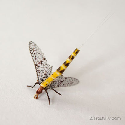Realistic Mayfly Dry II