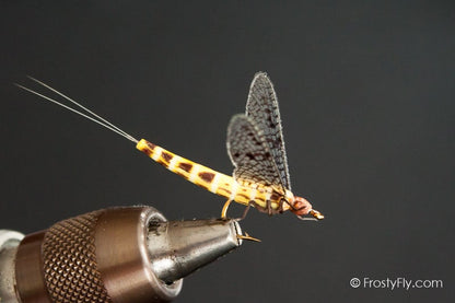 Realistic Mayfly Dry - Ephemera Danica