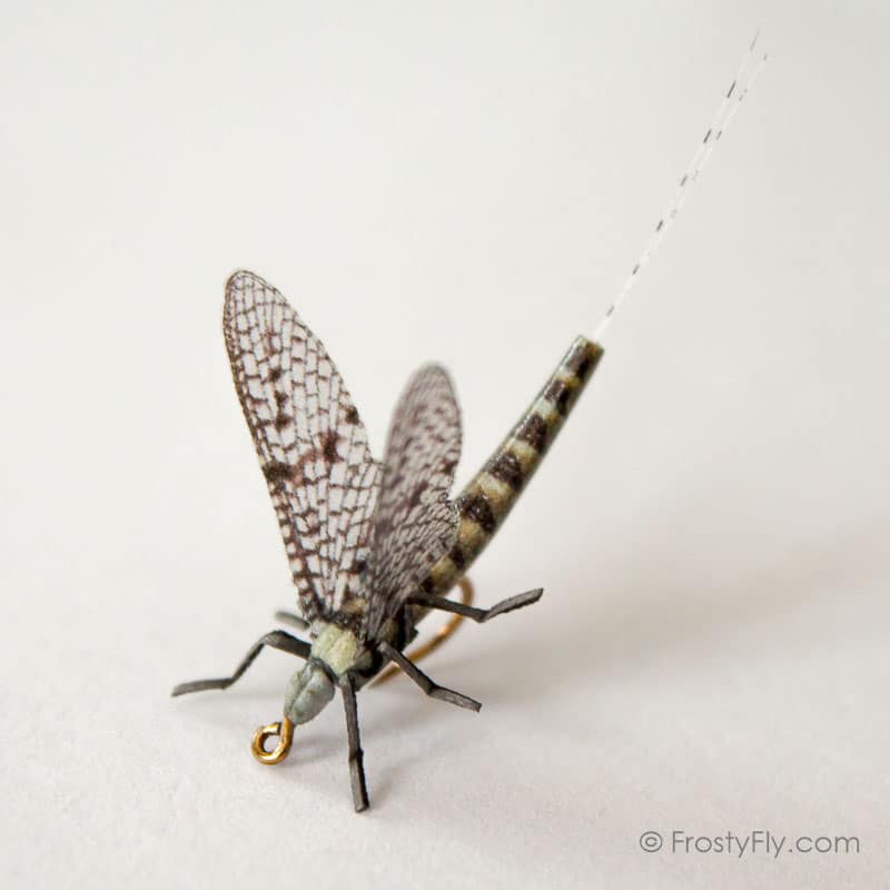 Realistic Mayfly Dry II