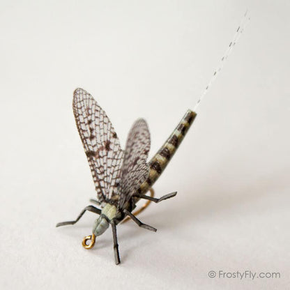 Realistic Mayfly Dry II