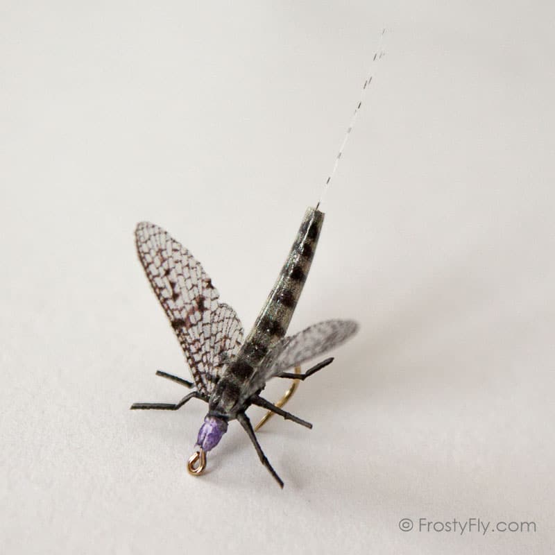 Realistic Mayfly Dry II