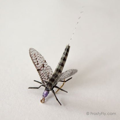 Realistic Mayfly Dry II