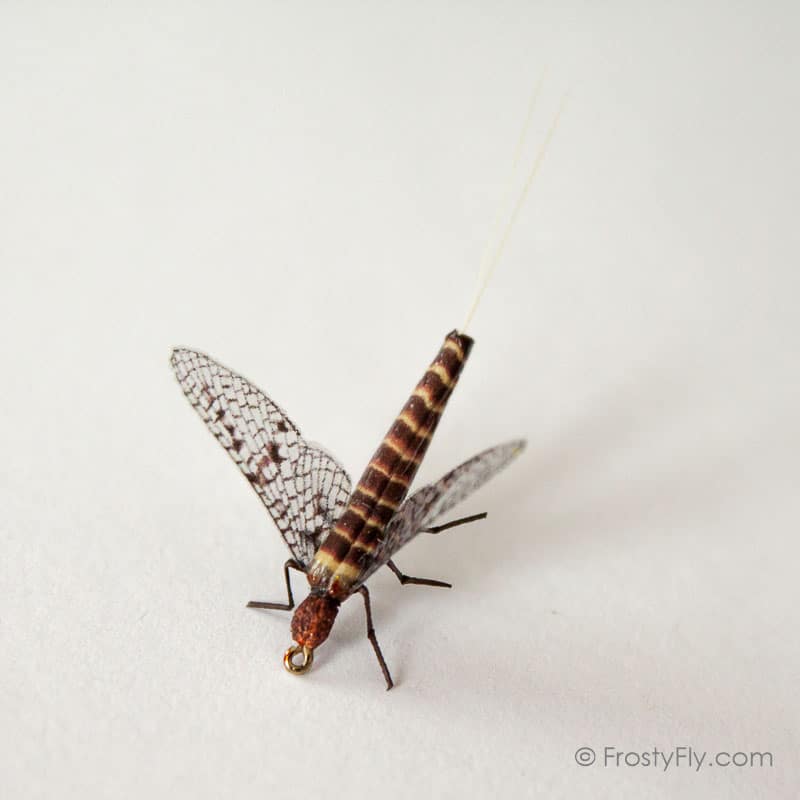 Realistic Mayfly Dry II