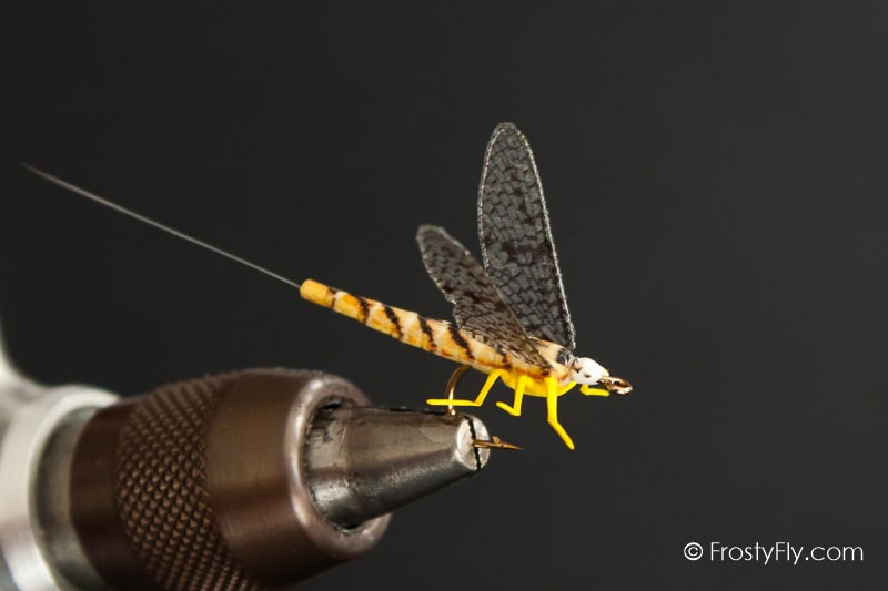 Realistic Mayfly Dry - Hexagenia