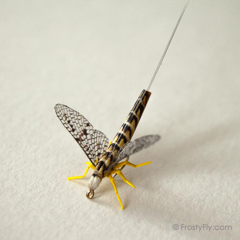 Realistic Mayfly Dry II
