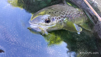 Hemingway's Mayfly Tube Bodies - Large - Yellow