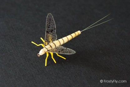Realistic Mayfly Dry - Light Cahill