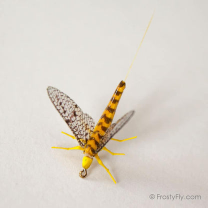 Realistic Mayfly Dry II