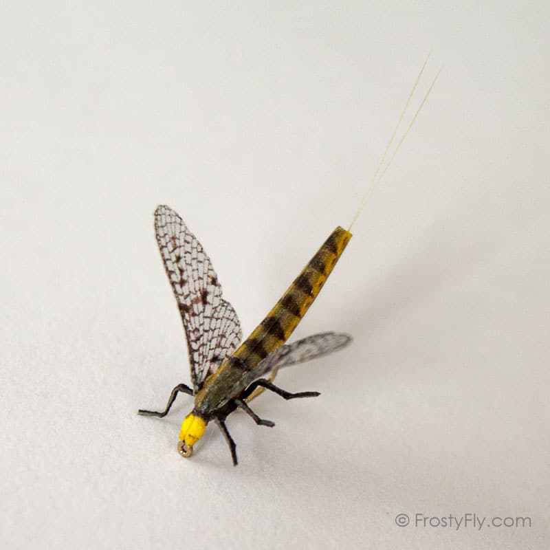 Realistic Mayfly Dry II