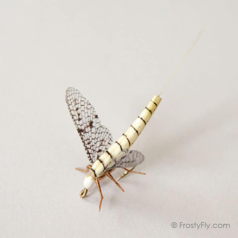 Realistic Mayfly Dry II