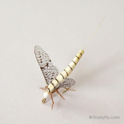 Realistic Mayfly Dry II