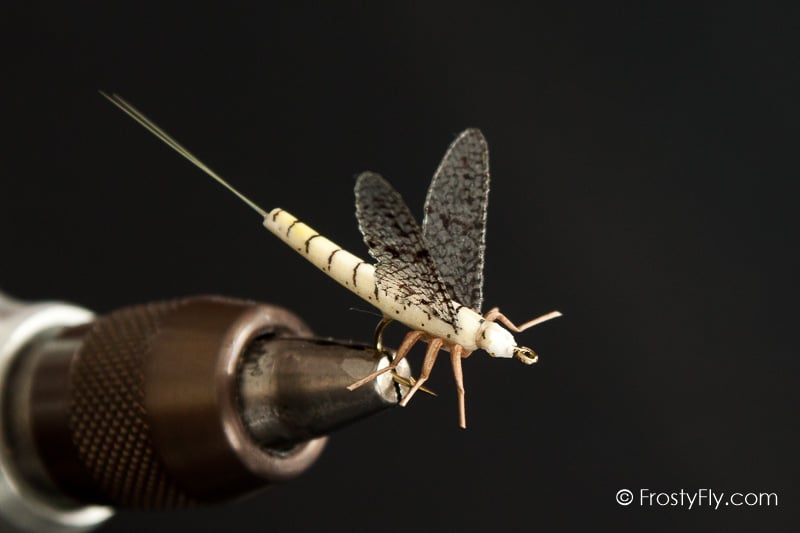 Realistic Mayfly Dry - White Mayfly