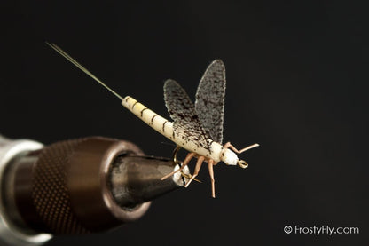 Realistic Mayfly Dry - White Mayfly