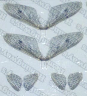 Realistic Mayfly Wings - 2 Pairs - Front & Back Wings