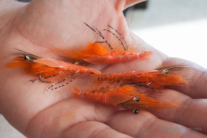 Realistic Orange Shrimp Fly