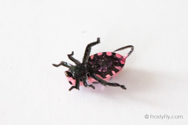 Realistic Pink Ladybug Fly