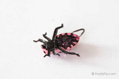 Realistic Pink Ladybug Fly