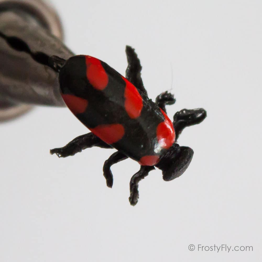 Realistic Red Bug Fly