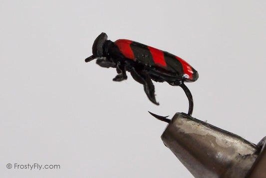 Realistic Red Bug Fly
