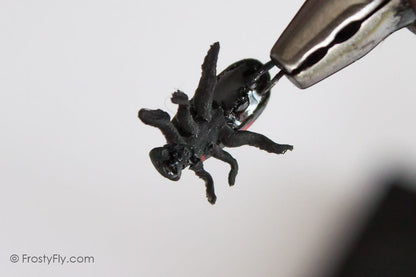 Realistic Red Bug Fly