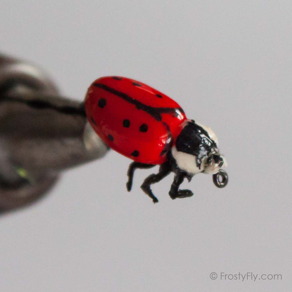 Realistic Red Ladybug Fly