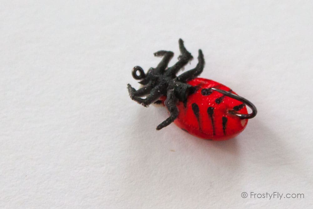 Realistic Red Ladybug Fly