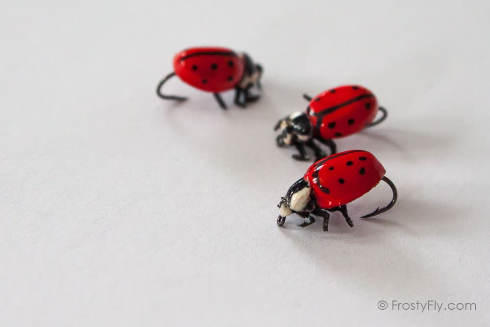 Realistic Red Ladybug Fly