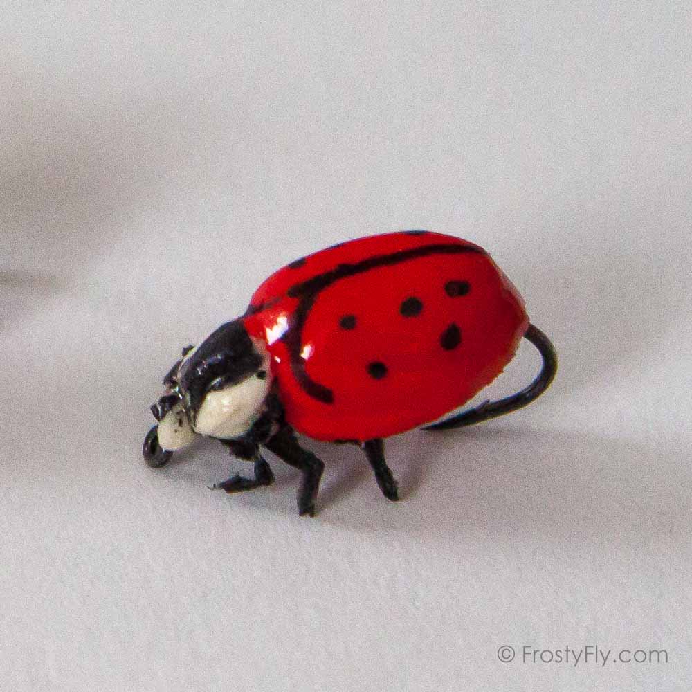 Realistic Red Ladybug Fly
