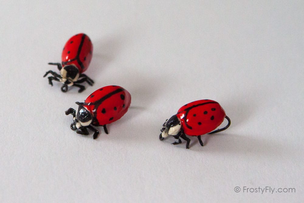 Realistic Red Ladybug Fly