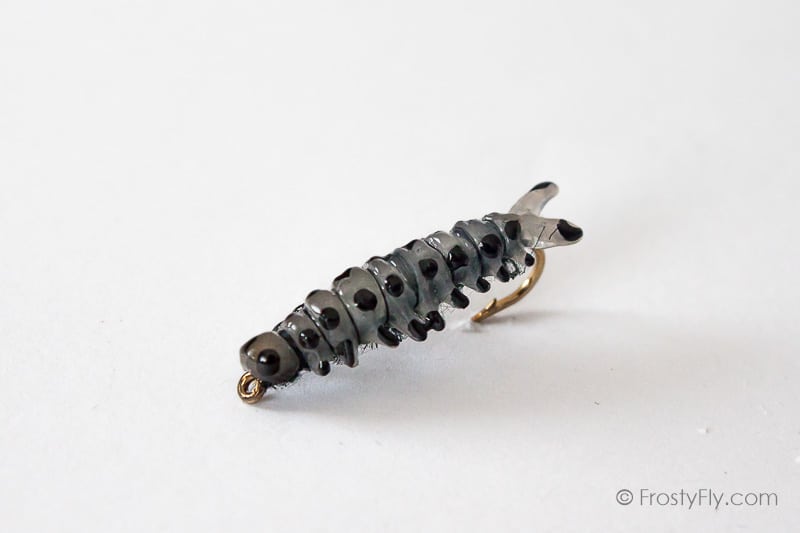 Realistic Sawfly Larva