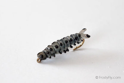 Realistic Sawfly Larva