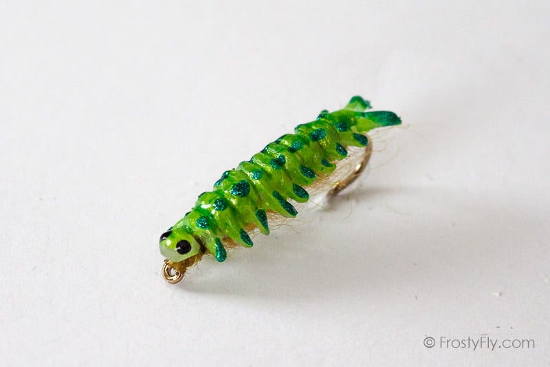 Realistic Sawfly Larva
