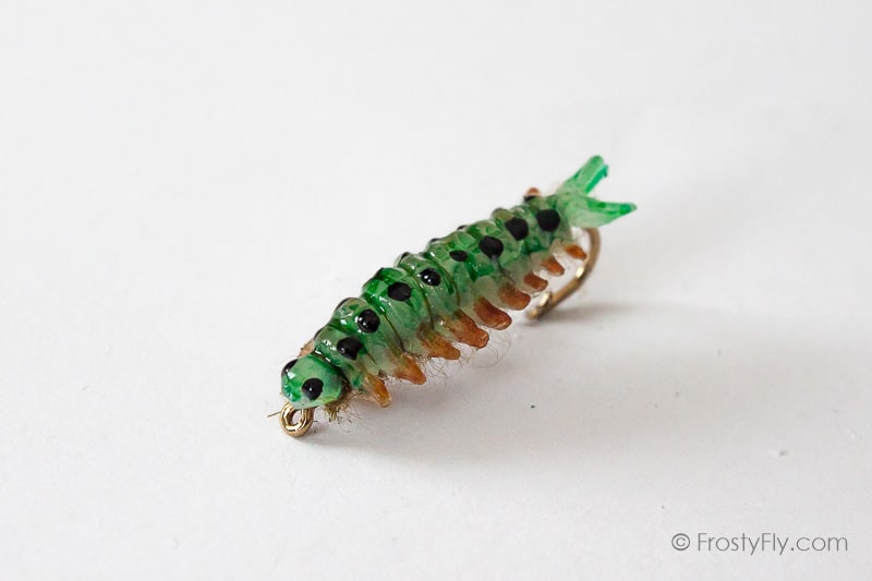 Realistic Sawfly Larva