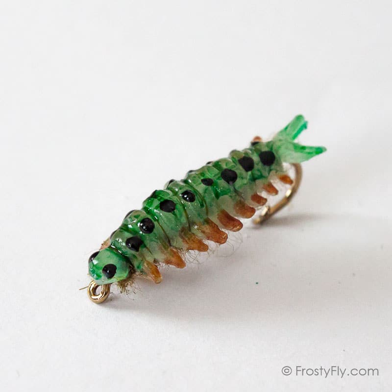 Realistic Sawfly Larva - Olive